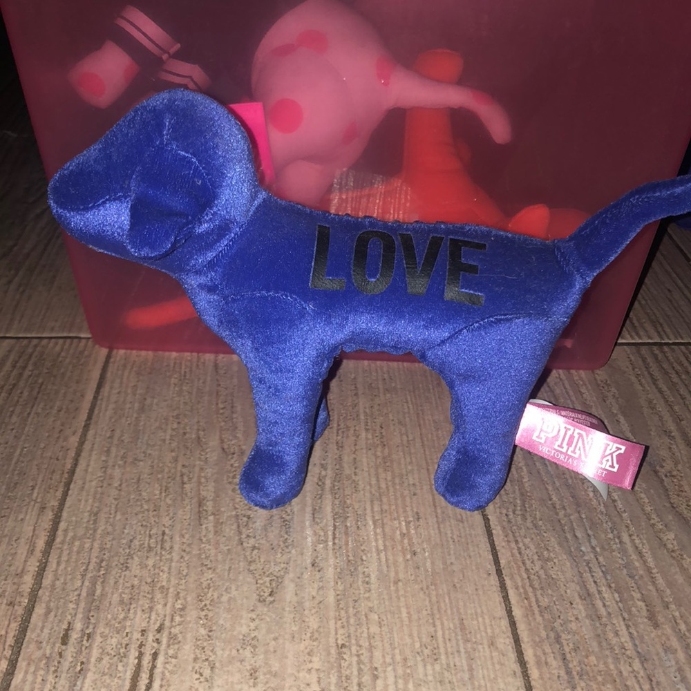 PINK Dog 💕🐶